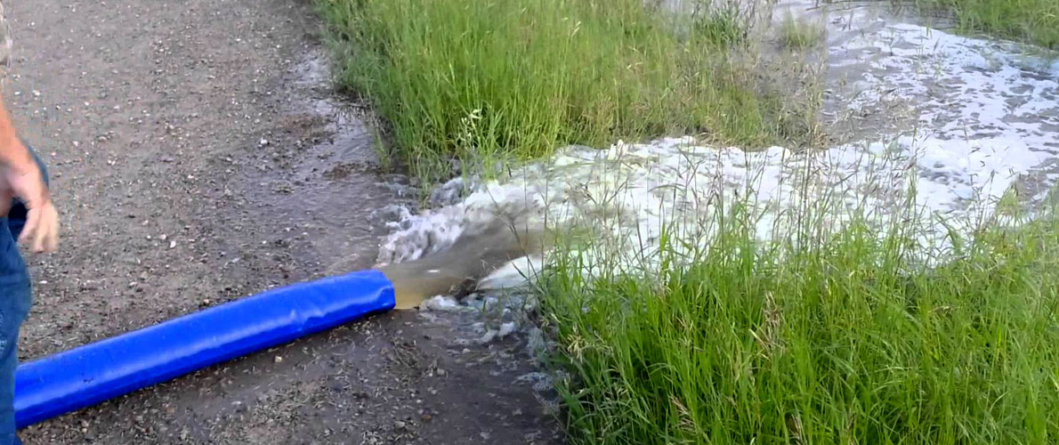 impact technologies - milking machines in bangalore karnataka