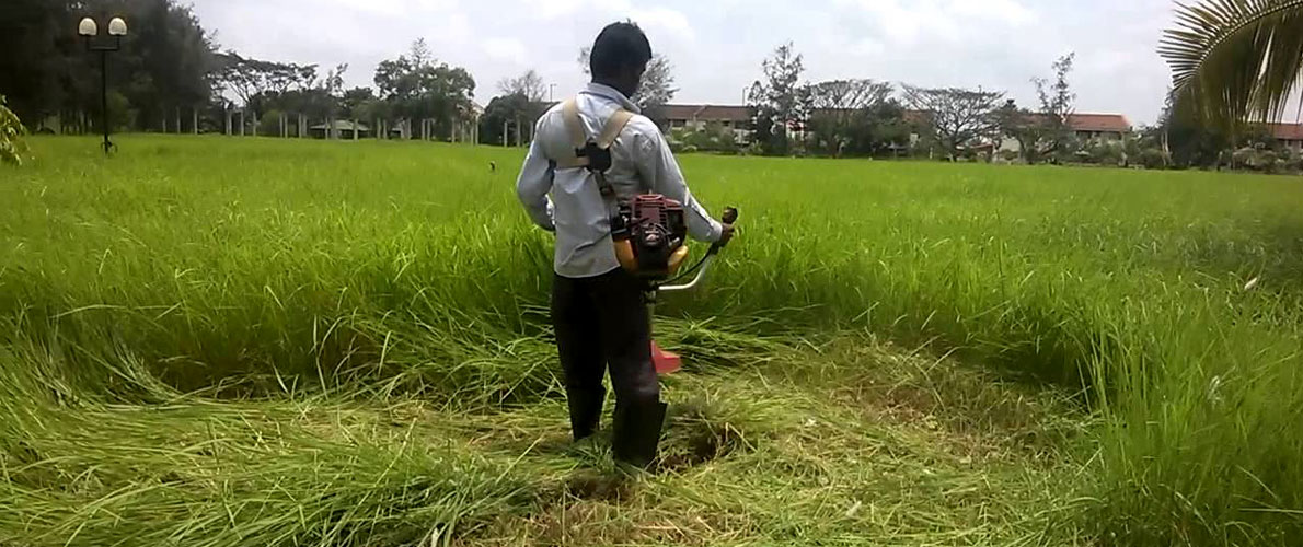 impact technologies - milking machines in bangalore karnataka